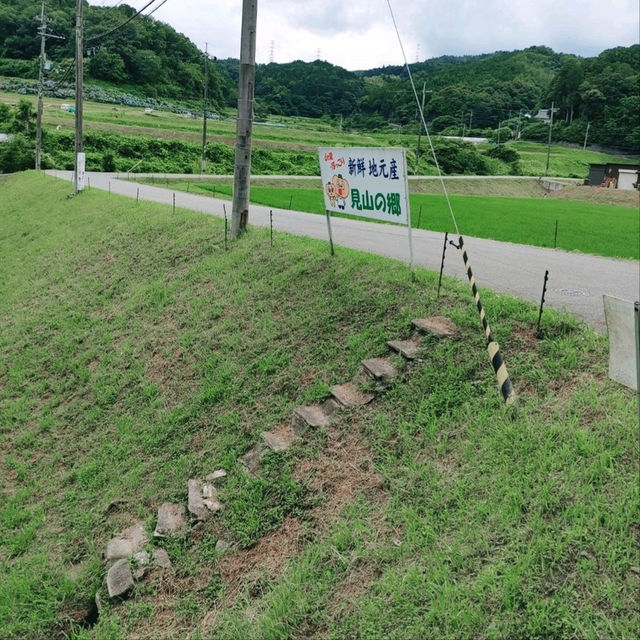全て茨木産！手作りジェラード　見山の郷