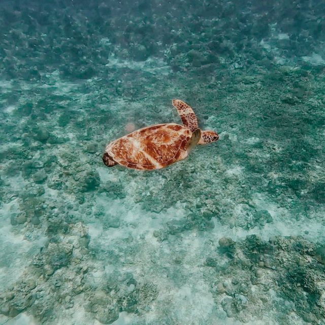 Gili Air, Lombok