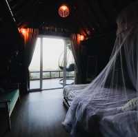 ดาวบนดิน" Camping 