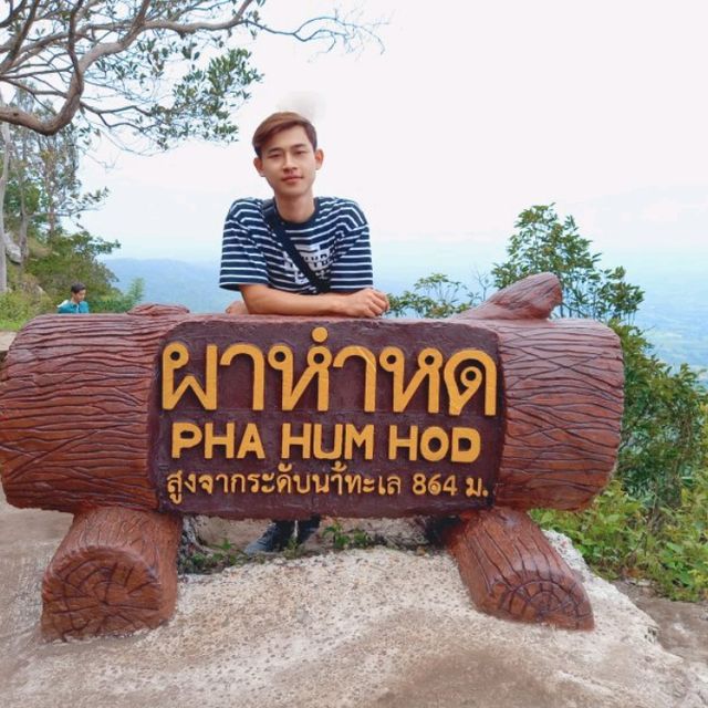 อุทยานแห่งชาติไทรทอง ทุ่งดอกกระเจียว ชัยภูมิ
