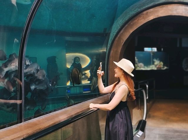🐟 พาชมอุโมงค์ใต้น้ำที่ 𝙋𝙝𝙪𝙠𝙚𝙩 𝘼𝙦𝙪𝙖𝙧𝙞𝙪𝙢