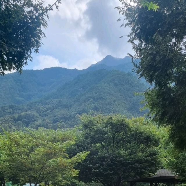 무료로 이용 금오산도립공원야영장