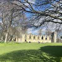 York Museum Gardens