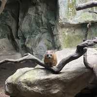 Singapore zoo