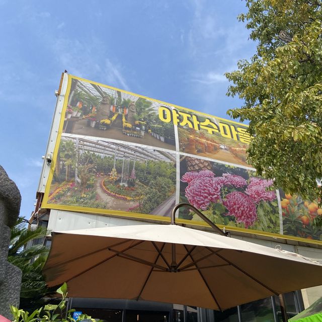 서울 근교 제주느낌 가득한 야자수 식물원카페 추천 🌴 