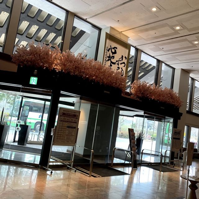 機場之翼的寧靜綠洲：成田日航國際酒店 🛫🏨🌿