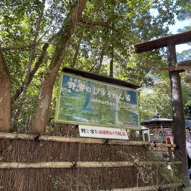 【京都府】美しい緑の絨毯、じゅうたん苔！