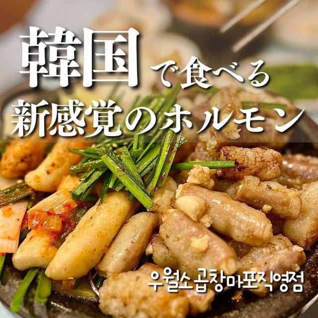 【ソウル・麻浦】ニンニクがつまった新感覚のコプチャン
