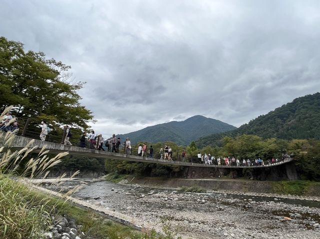 造訪世界遺產 @ 白川鄉合掌造聚落
