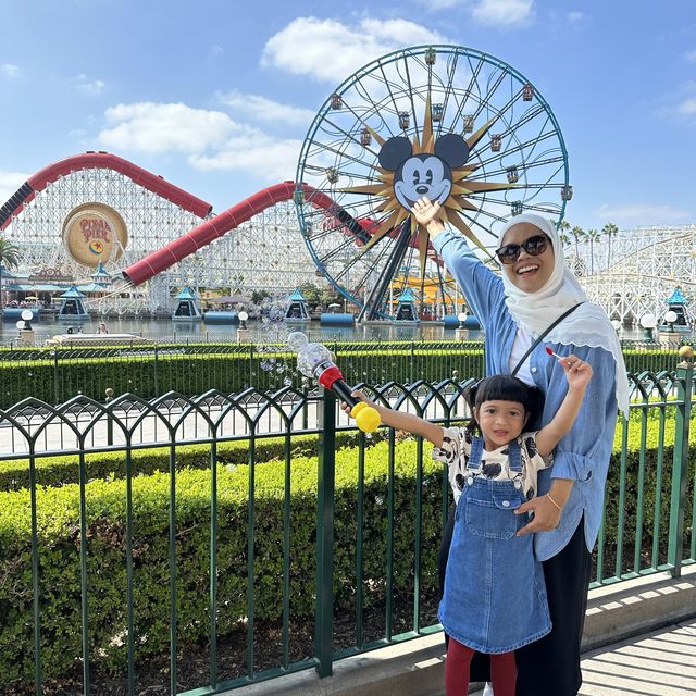 Disneyland California Adventure Park Funday!