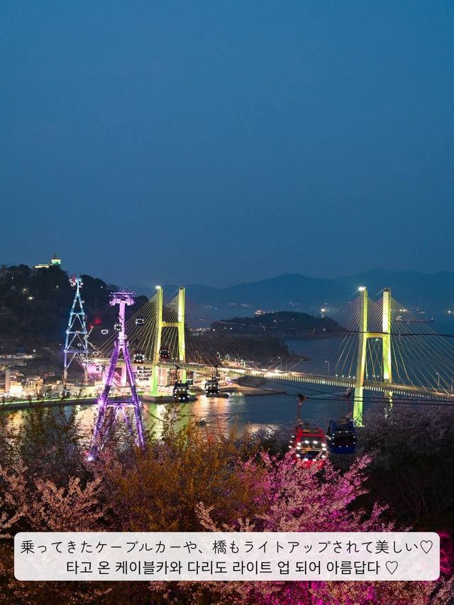 【韓国 / 麗水】麗水と言えば！な、ケーブルカーで麗水の海の夜を見てきた♡