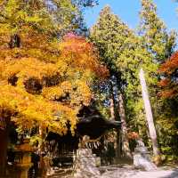 【長野県/紅葉が美しい🍁”出早雄小萩神社”と”出早公園”】