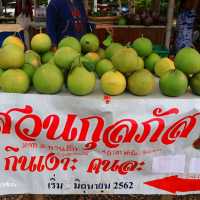 ตลาดซาวไฮ่ ตลาดวิถีชุมชนสุดชิค อ.บ้านไร่ จ.อุทัยธานี