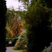 strolling around in Leicester Garden