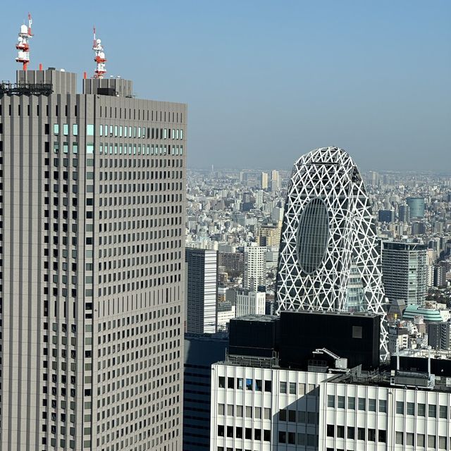 ✨압도적인 규모의 도쿄도청 , 편하게 도쿄를 감상할 수 있는 도쿄 도청 전망대 ✨