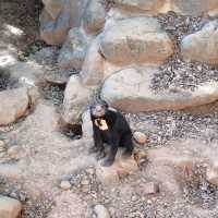 新竹動物園