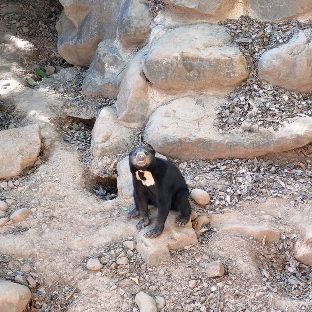 新竹動物園