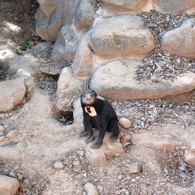 新竹動物園