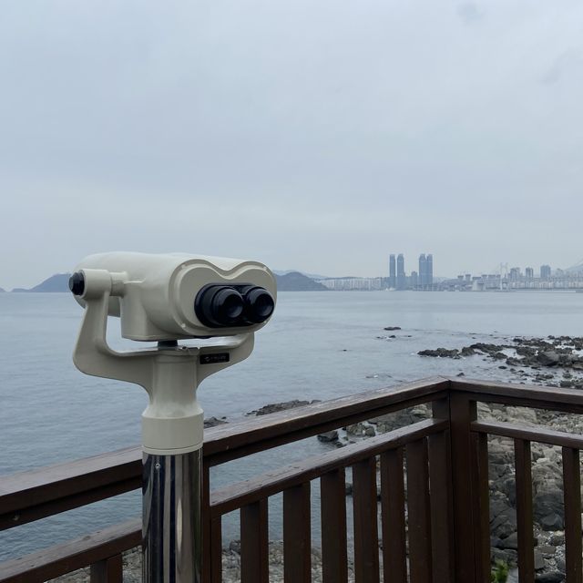 부산 야외 가볼만한곳 동백섬