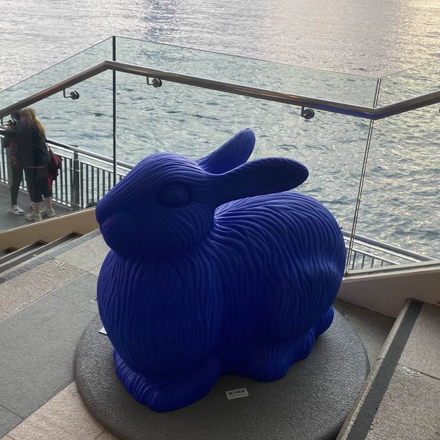 海港城彩虹兔仔大集合