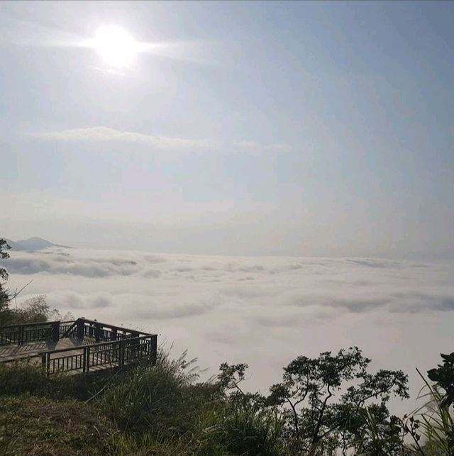 Beautiful sea of clouds and sunset on Alishan