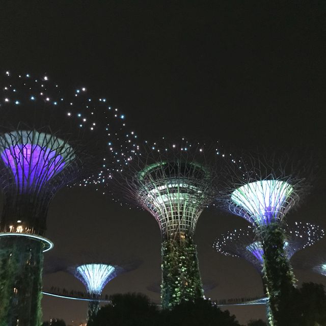 🌳新加坡的空中花園🌿