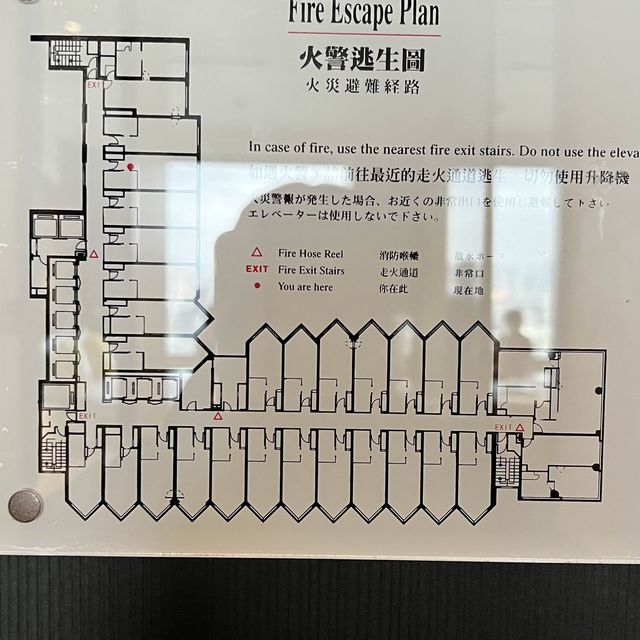❤️結婚12周年❤️