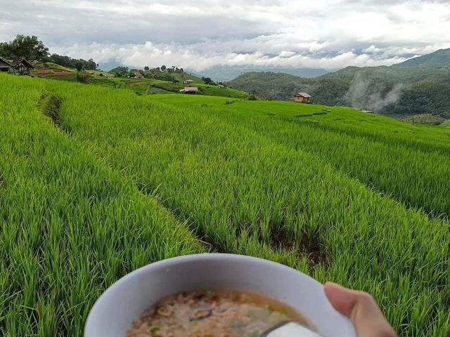 ดาวบ้านดอย นาขั้นบันไดป่าบงเปียง