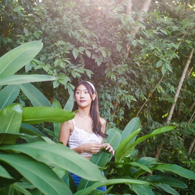 Roost Glamping Phuket