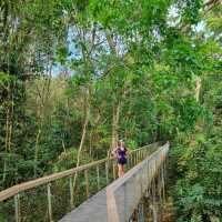 Hiking at Macritchie Nature Trail