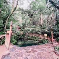 【島根県/八重垣神社と鏡の池】