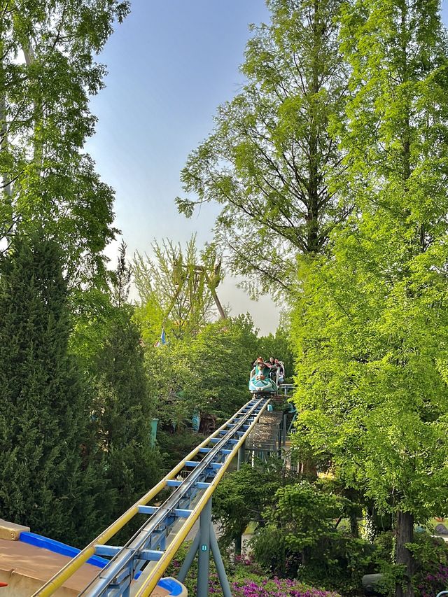 경주 필수코스인 ‘경주월드‘🎡🎠🎢