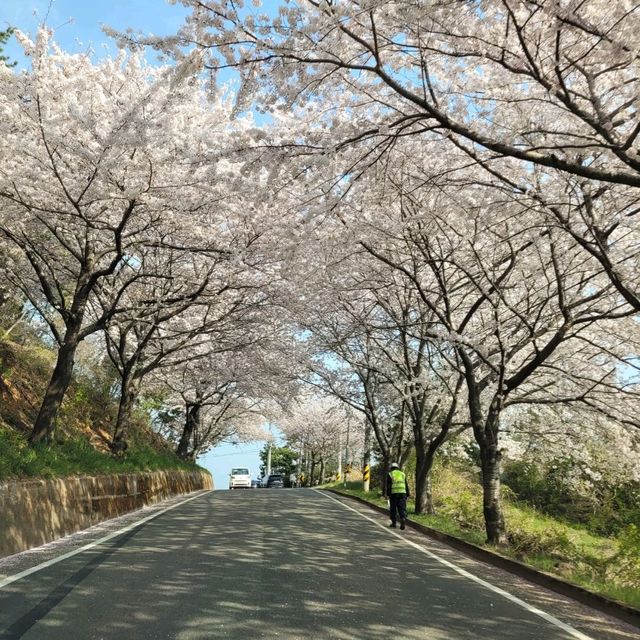 인생 꽃놀이, 남해 다랭이마을