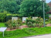 เที่ยวญี่ปุ่น Gifu World Rose Garden 