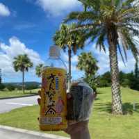 【沖縄旅行】kafuu resort fuchak condo hotel