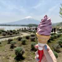 富士山河口湖大石公園🗻🌟