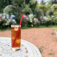 河口湖!! お花に囲まれたCafe☕️