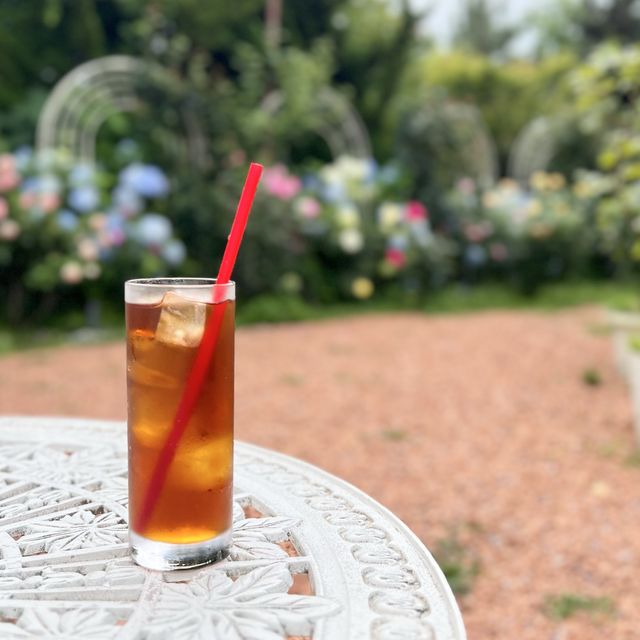 河口湖!! お花に囲まれたCafe☕️