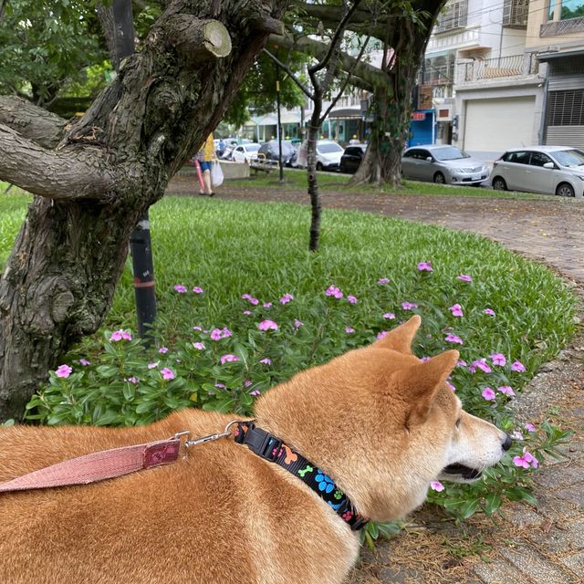 莒光環保公園🐕