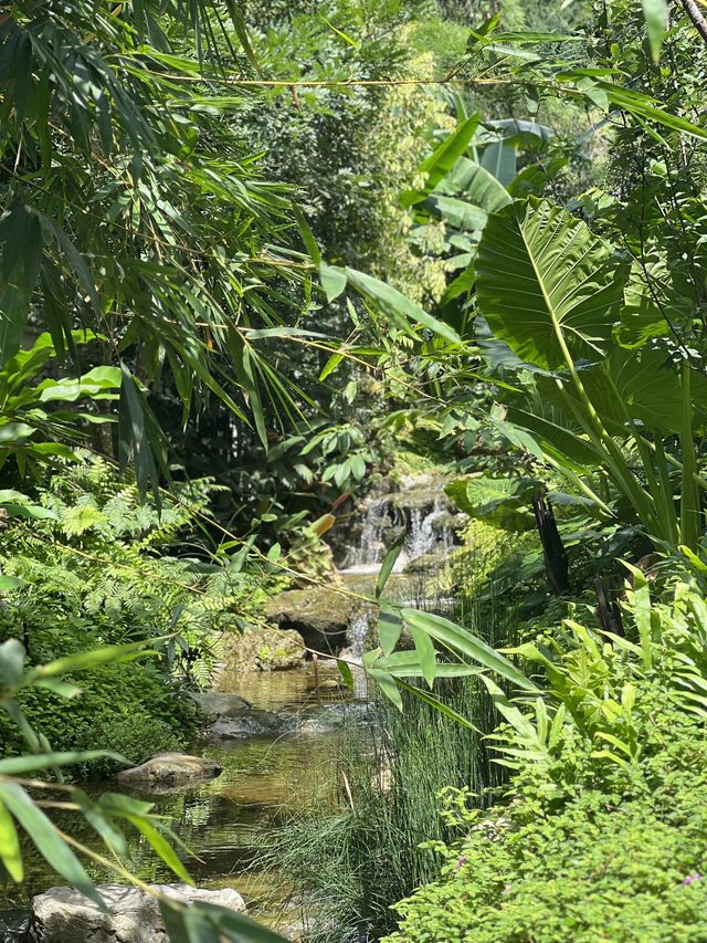 ✨พักผ่อนชมธรรมชาติ 🌳 กับรีสอร์ทสุดหรู ใจกลางเมือง