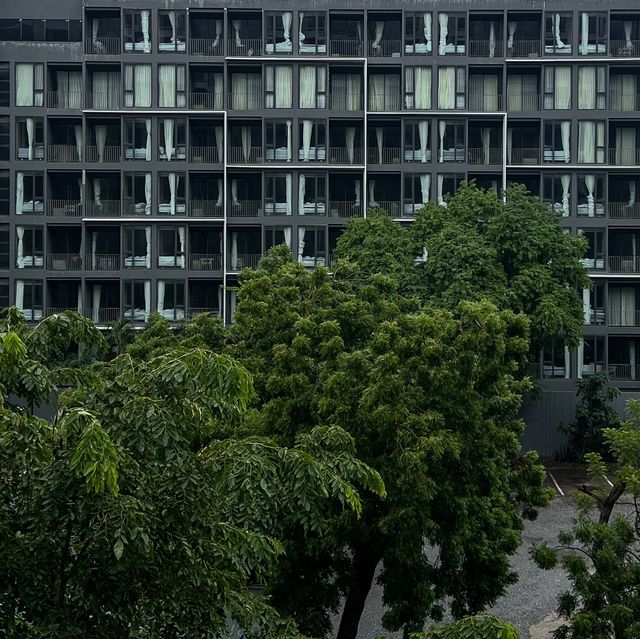 ANA ANAN 🌳 โรงแรมพัทยาที่จะต้องตกหลุมรัก