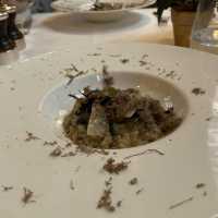 Magnificent Lunch 