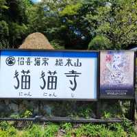 貓奴到打咭勝地