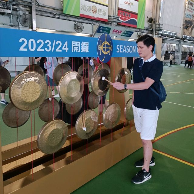 《新馬季開鑼》沙田馬場全新藝術文化打卡點