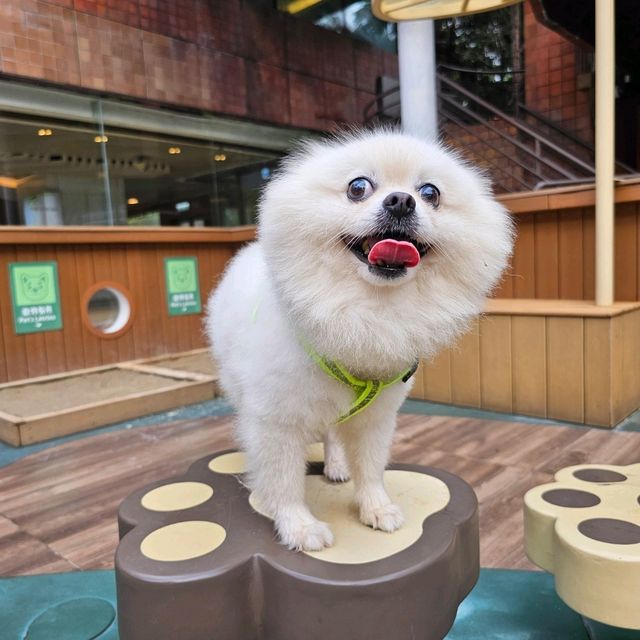 帶毛孩放電購物好地方🐶🦮🐕‍🦺🐕🐩