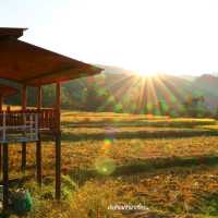 บ้านพัก แม่กลางหลวงวิว นอนชิลท่ามกลางวิวสวย
