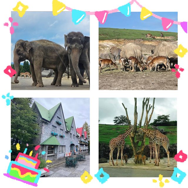 動物王國，自然奇遇：九州自然動物園！🦁🐼🌿