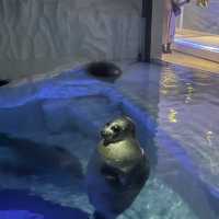 大阪摩天輪下的巨型海洋海族館
