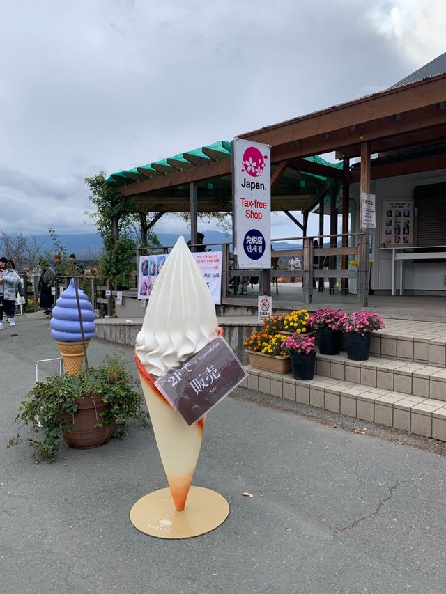 大石公園是當地最著名的花田🌸