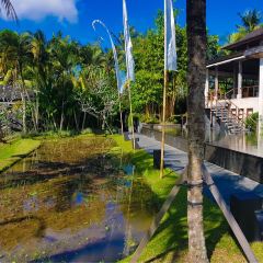 Jungle Fish Pool Bar Nutzerfoto